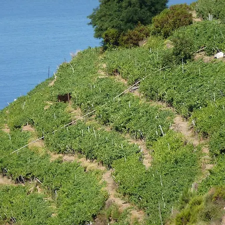 5 Terre Pelagos 3 Manarola